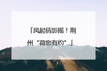 风起倩影摇！荆州“荷您有约”